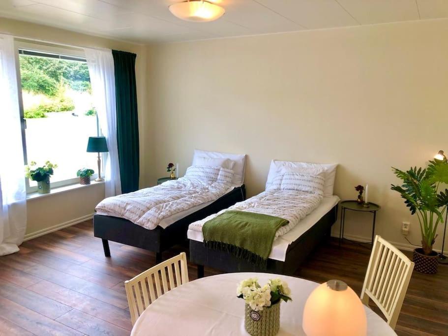 Cozy Modern Studio Apartment Stay 팔켄베리 외부 사진